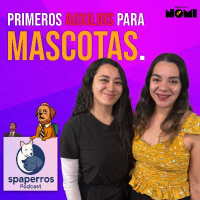 ¿Cómo reaccionar ante una emergencia con tu mascota? ft MVZ. Abigail Bautista