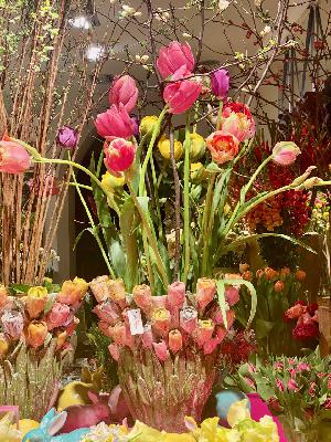 EP 255 Wishing You a Beautiful Easter!
