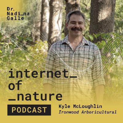 S6E10: “Mushrooms Aren’t a Death Sentence” — Fungumentals for Arborists Who Diagnose Before They Cut with Kyle McLoughlin of Ironwood Arboricultural S6E10: “Mushrooms Aren’t a Death Sentence” — Fungumentals for Arborists Who Diagnose Before They Cut with Kyle McLoughlin of Ironwood Arboricultural