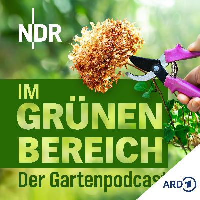 Frühlingsschnitt: So schneidet ihr Hortensien, Lavendel und Clematis richtig Frühlingsschnitt: So schneidet ihr Hortensien, Lavendel und Clematis richtig