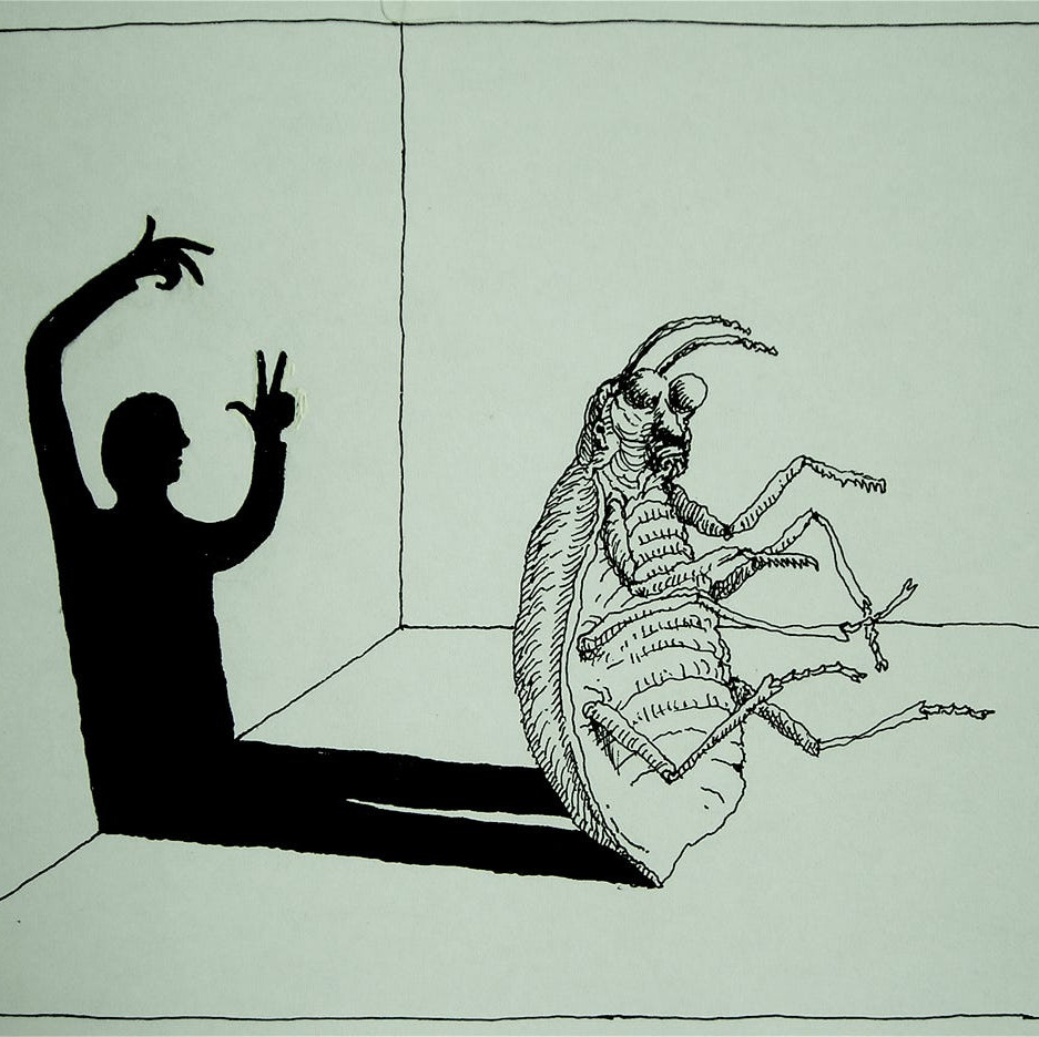 به چه چیزی میگن کافکایی؟ به چه چیزی میگن کافکایی؟