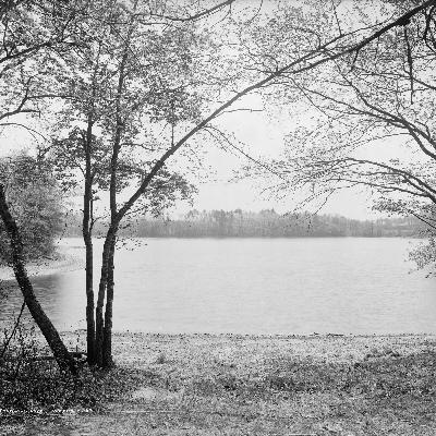 Aflevering 67: Walden Aflevering 67: Walden