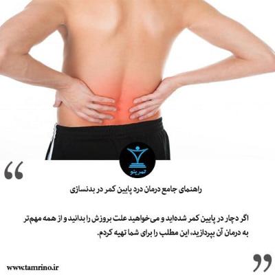 راهنمای جامع درمان درد پایین کمر در بدنسازی (هوش مصنوعی) راهنمای جامع درمان درد پایین کمر در بدنسازی (هوش مصنوعی)