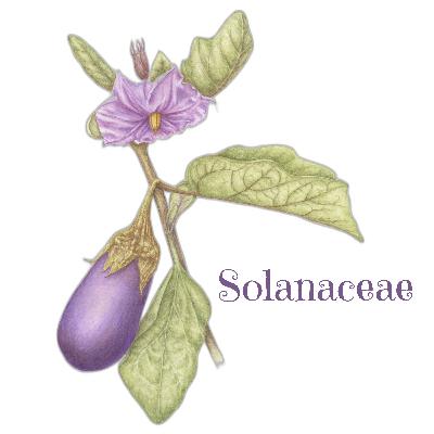 Landrace Gardening with Joseph Lofthouse!