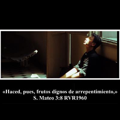 EL BUEN FRUTO EL BUEN FRUTO