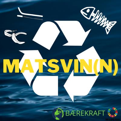 Matsvin(n)