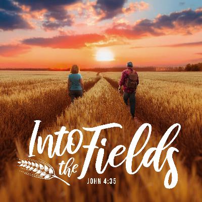 Into the fields - Are you dead yet?