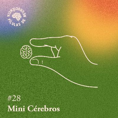 Arquivo #153 - Pílulas: Mini cérebros
