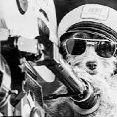 Episode 173: Dog Movies