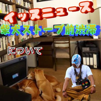 #063 ィッヌニュース柴犬ストーブ前渋滞について