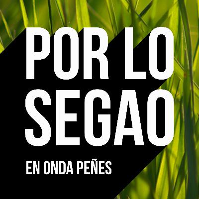 Por lo segao 1x09: Dimitimos Por lo segao 1x09: Dimitimos