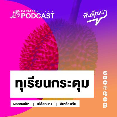 ทุเรียนกระดุม 【พันธุ์ณนา】 ทุเรียนกระดุม 【พันธุ์ณนา】