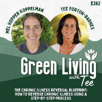 Mel Hopper Koppelman: The Chronic Illness Reversal Blueprint: How to Reverse Chronic Illness Using a Step-by-Step Process