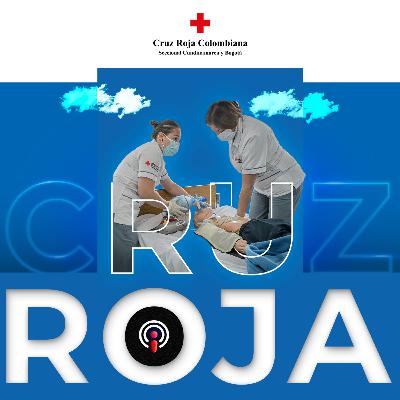 Cómo salvar vidas practicando RCP Cómo salvar vidas practicando RCP