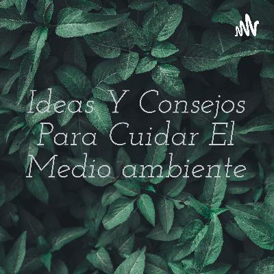 Los Efectos de la contaminación del aire en nuestra salud y el medio ambiente