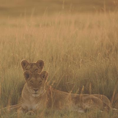 6 – Combat d'une mère : Justice 0 - Médias 1 (Laura)