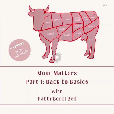 Meat Matters Part 1: Back to Basics with Rabbi Berel Bell Meat Matters Part 1: Back to Basics with Rabbi Berel Bell