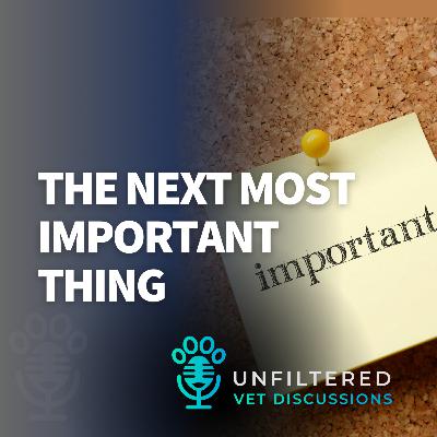 The Next Most Important Thing The Next Most Important Thing