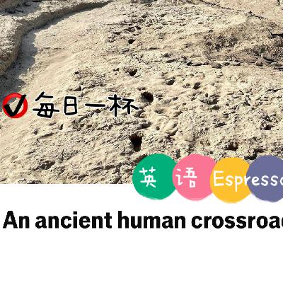 【307】古人类相遇时