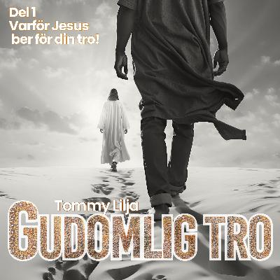 Gudomlig tro