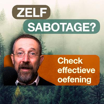 ZELF-SABOTAGE? [ONTDEK & OVERWIN DESTRUCTIEVE PATRONEN]