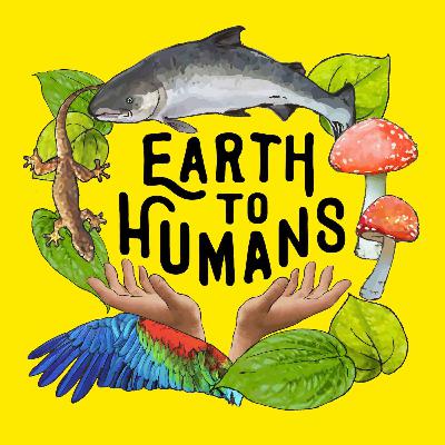 BEST OF: A World Without Animals with Charlotte McConaghy