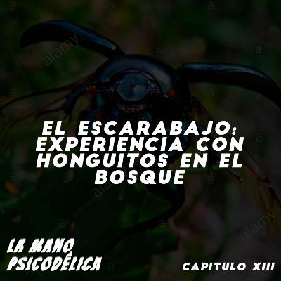 XIII. El escarabajo: experiencia con Sagrados Honguitos Medicinales en el bosque XIII. El escarabajo: experiencia con Sagrados Honguitos Medicinales en el bosque