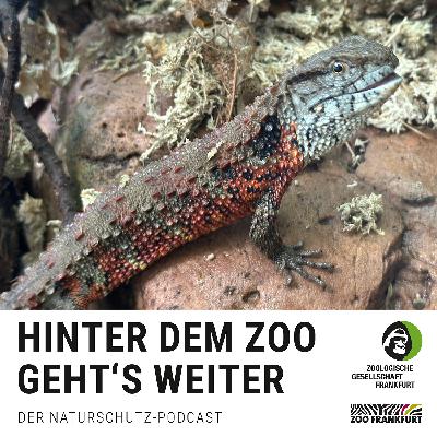 Vietnamazing: Zoos im Einsatz für Vietnams bedrohte Arten