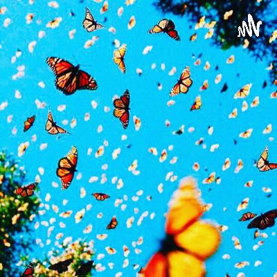 Welcome tO the podcast