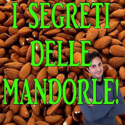 Episodio 101 - LA MANDORLA ED I SUOI SEGRETI - Conosciamo i pregi delle mandorle Episodio 101 - LA MANDORLA ED I SUOI SEGRETI - Conosciamo i pregi delle mandorle