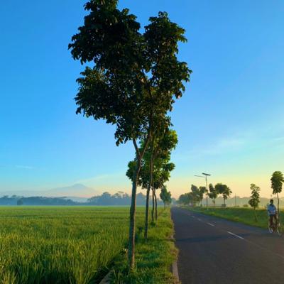 Tulus atau Pamer?