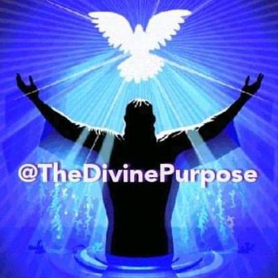 The Divine Purpose  (Trailer)
