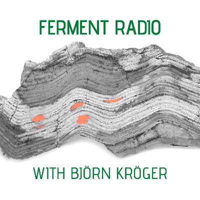 #42: Deep, deep time (with Björn Kröger) #42: Deep, deep time (with Björn Kröger)