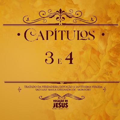 CAPÍTULOS 03 e 04 - Tratado da Verdadeira Devoção à Virgem Maria - AUDIOBOOK