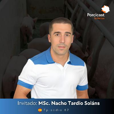 #62 - Longevidad en cerdas: Estrategias para reducir la reposición - MSc. Nacho Tardío Soláns