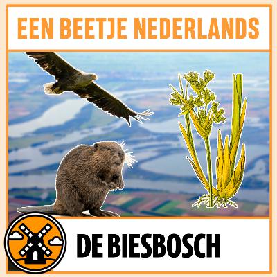#82: De Biesbosch #82: De Biesbosch