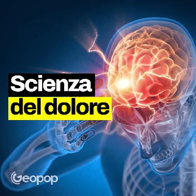 343 - La scienza del dolore: come funziona e che ruolo ha