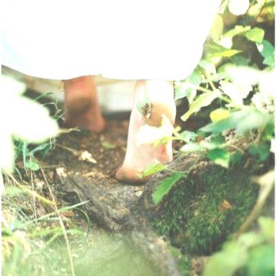 Wise Woman’s Cottage Blessing Light with Simply Divine Magic