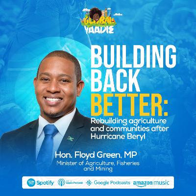 Rebuilding Caribbean agriculture and communities after Hurricane Beryl