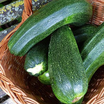 Kochen mit Genussforscher Thomas Vilgis: Riesenzucchini mit Geschmacksverstärkung