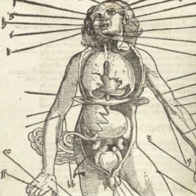 Medical Renaissance in England 1500-1700. Overview. Medical Renaissance in England 1500-1700. Overview.