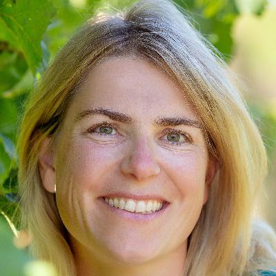 Wein im Klimawandel: "Jahreszeiten verschieben sich" Wein im Klimawandel: "Jahreszeiten verschieben sich"