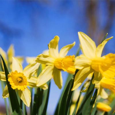 3 My Miracle Cure - A privilage to pray