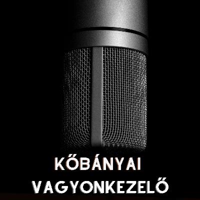 A Vagyonkezelő Kőbánya szolgálatában #42: Kátyúzás a hó után Kőbányán