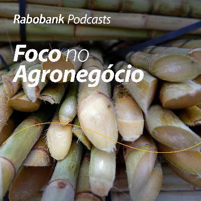 Perspectivas 2026 | Açúcar e Etanol