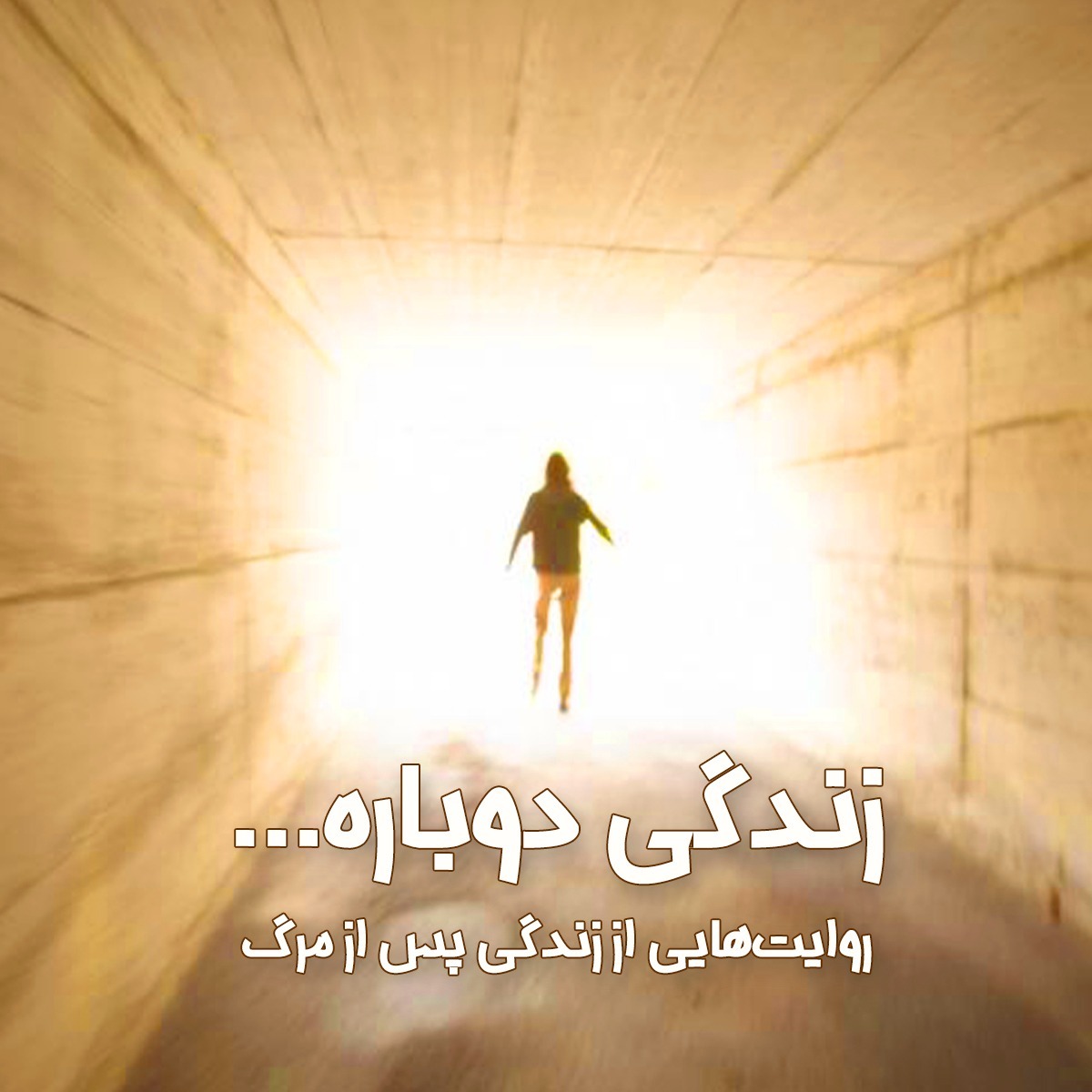 زندگی دوباره زندگی دوباره