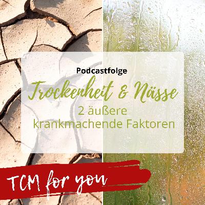 Trockenheit & Nässe - 2 äußere krankmachende Faktoren - Fole 90 Trockenheit & Nässe - 2 äußere krankmachende Faktoren - Fole 90