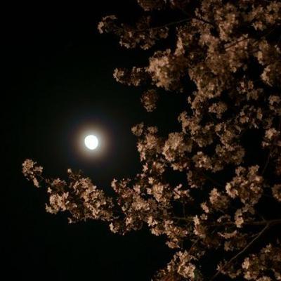 Pasajeros - Javier Galarza. Pasajeros - Javier Galarza.