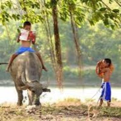 “Gió quê mở sách”: Mở ra cánh cửa tự học