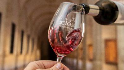 Cuando el suelo habla: así será la jornada de sostenibilidad de la DO Uclés